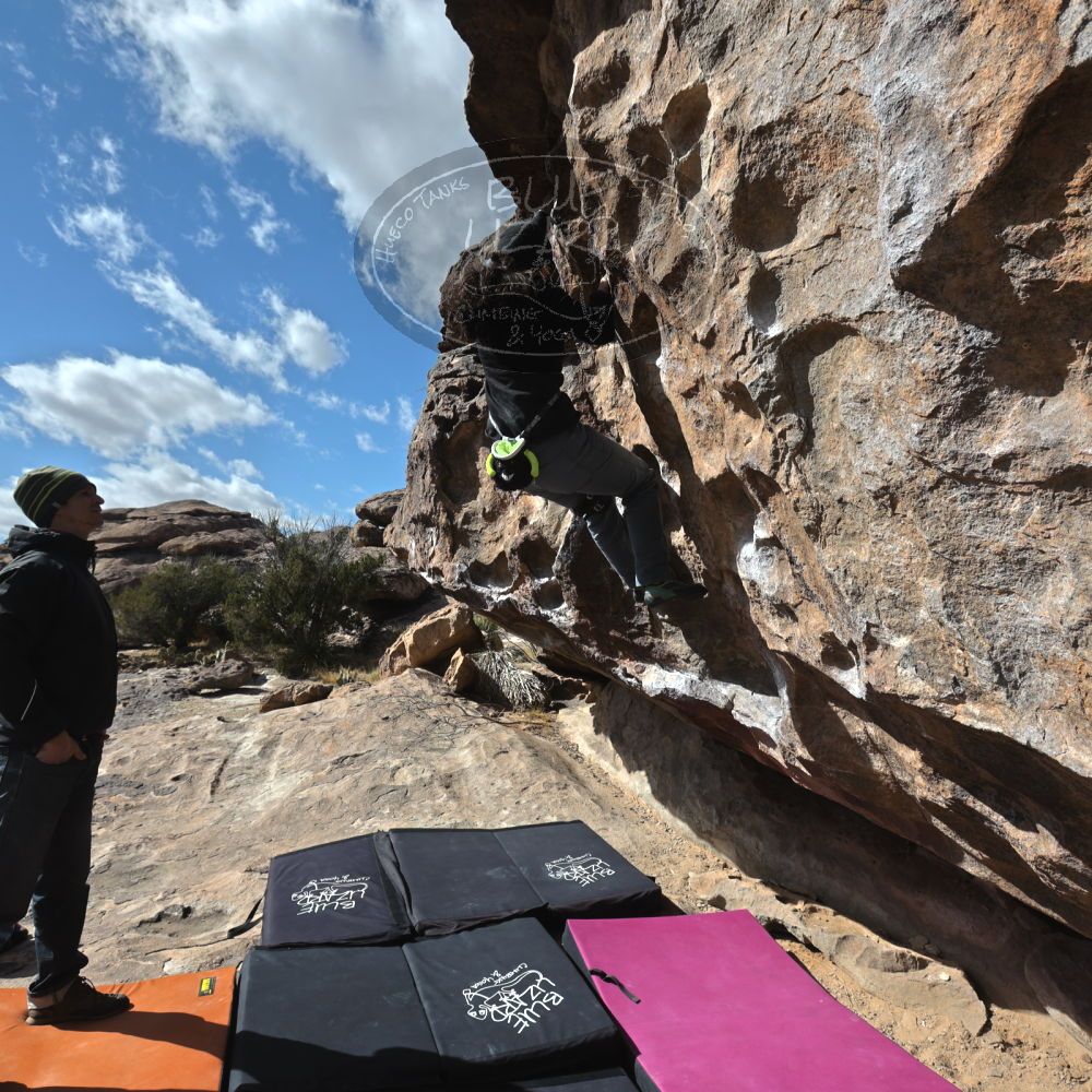 Filename: SRM_20230222_1041280.jpg
Aperture: f/8.0
Shutter Speed: 1/500
Body: Canon EOS R6
Lens: Canon EF 16-35mm f/2.8 L