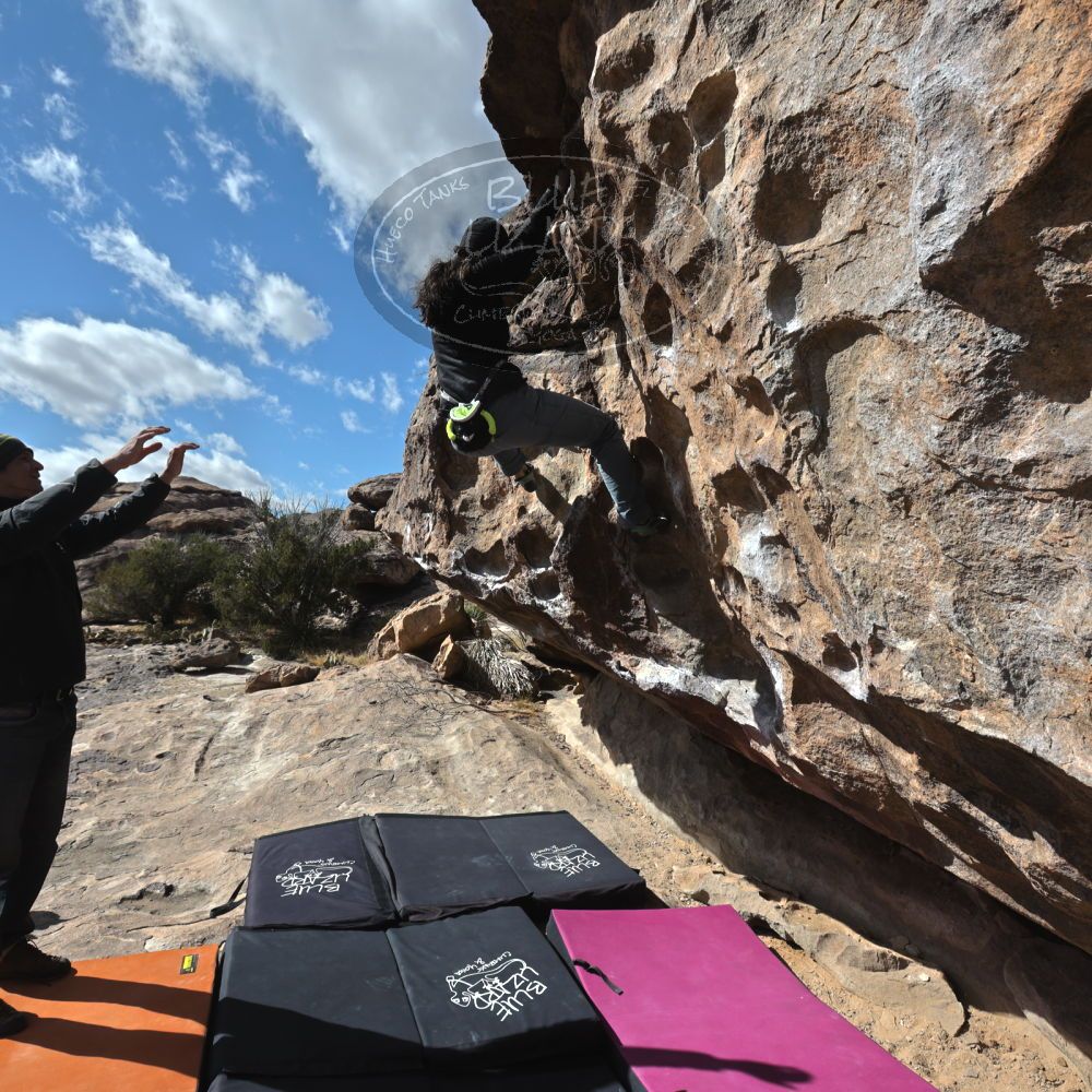 Filename: SRM_20230222_1041350.jpg
Aperture: f/8.0
Shutter Speed: 1/500
Body: Canon EOS R6
Lens: Canon EF 16-35mm f/2.8 L