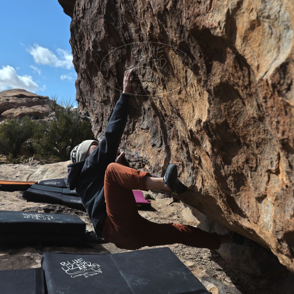 Filename: SRM_20230222_1045260.jpg
Aperture: f/8.0
Shutter Speed: 1/500
Body: Canon EOS R6
Lens: Canon EF 16-35mm f/2.8 L