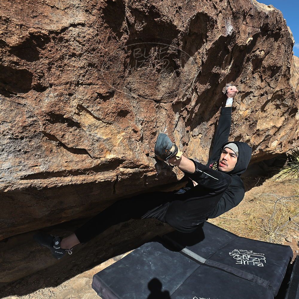 Filename: SRM_20230222_1108030.jpg
Aperture: f/8.0
Shutter Speed: 1/500
Body: Canon EOS R6
Lens: Canon EF 16-35mm f/2.8 L