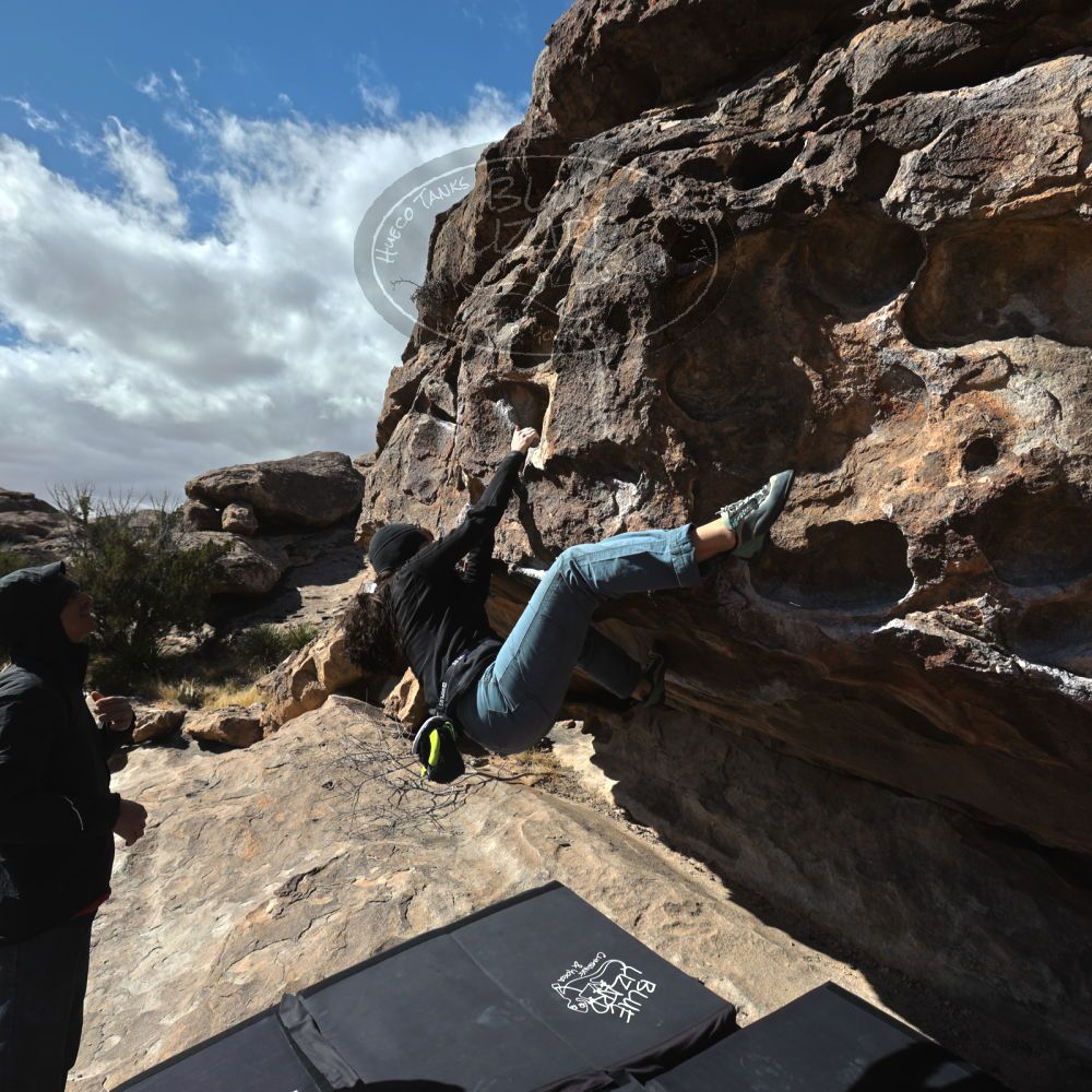 Filename: SRM_20230222_1117500.jpg
Aperture: f/8.0
Shutter Speed: 1/500
Body: Canon EOS R6
Lens: Canon EF 16-35mm f/2.8 L