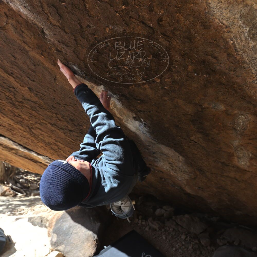 Filename: SRM_20230222_1203280.jpg
Aperture: f/5.6
Shutter Speed: 1/500
Body: Canon EOS R6
Lens: Canon EF 16-35mm f/2.8 L