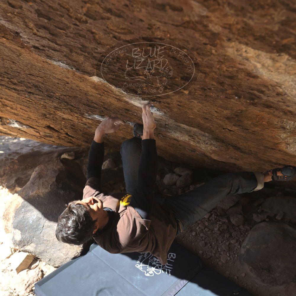 

Filename: SRM_20230222_1211200.jpg
Aperture: f/5.6
Shutter Speed: 1/500
Body: Canon EOS R6
Lens: Canon EF 16-35mm f/2.8 L