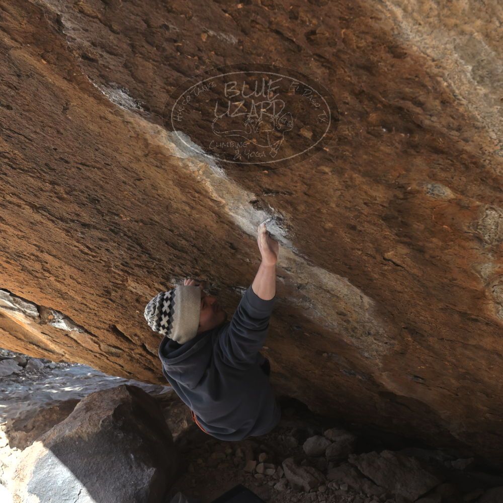 Filename: SRM_20230222_1219590.jpg
Aperture: f/8.0
Shutter Speed: 1/800
Body: Canon EOS R6
Lens: Canon EF 16-35mm f/2.8 L