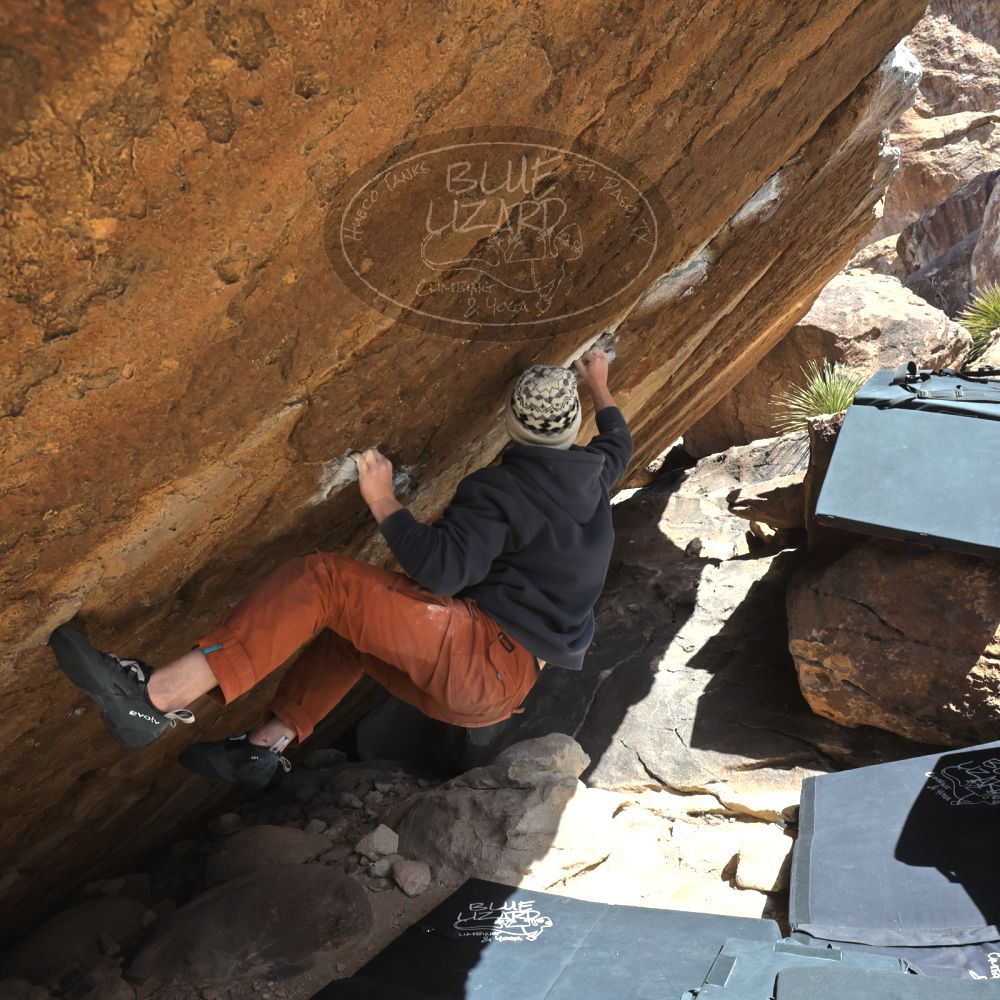 Filename: SRM_20230222_1222320.jpg
Aperture: f/8.0
Shutter Speed: 1/800
Body: Canon EOS R6
Lens: Canon EF 16-35mm f/2.8 L