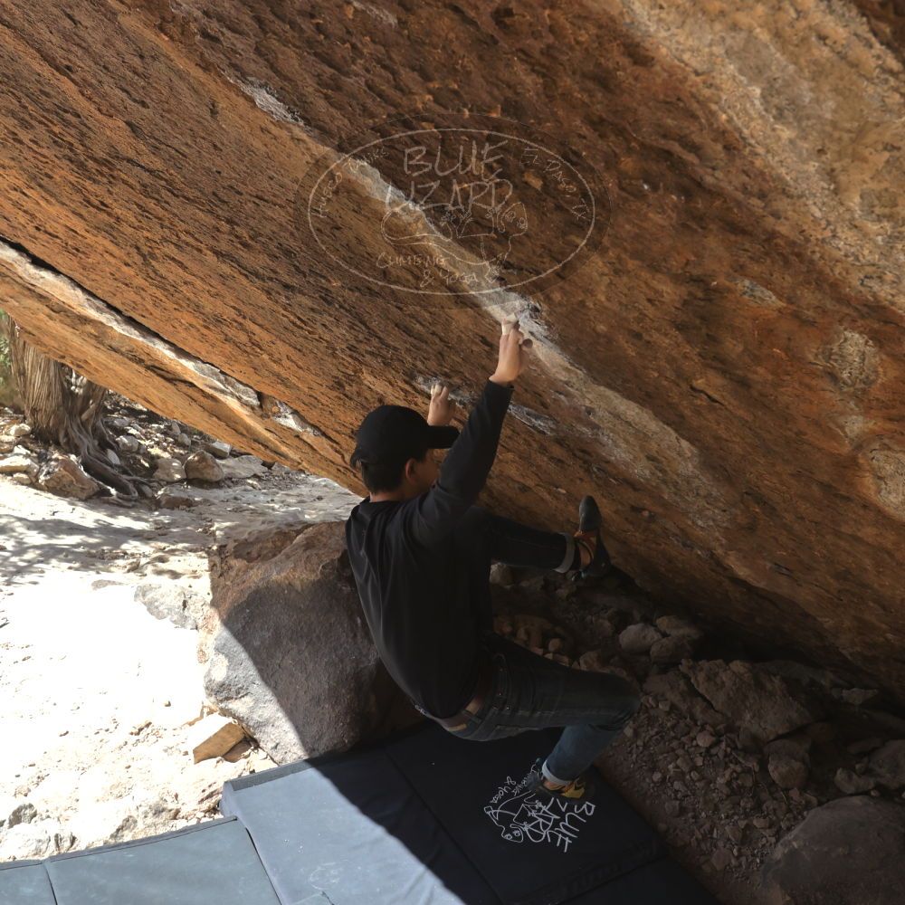 Filename: SRM_20230222_1244160.jpg
Aperture: f/8.0
Shutter Speed: 1/800
Body: Canon EOS R6
Lens: Canon EF 16-35mm f/2.8 L