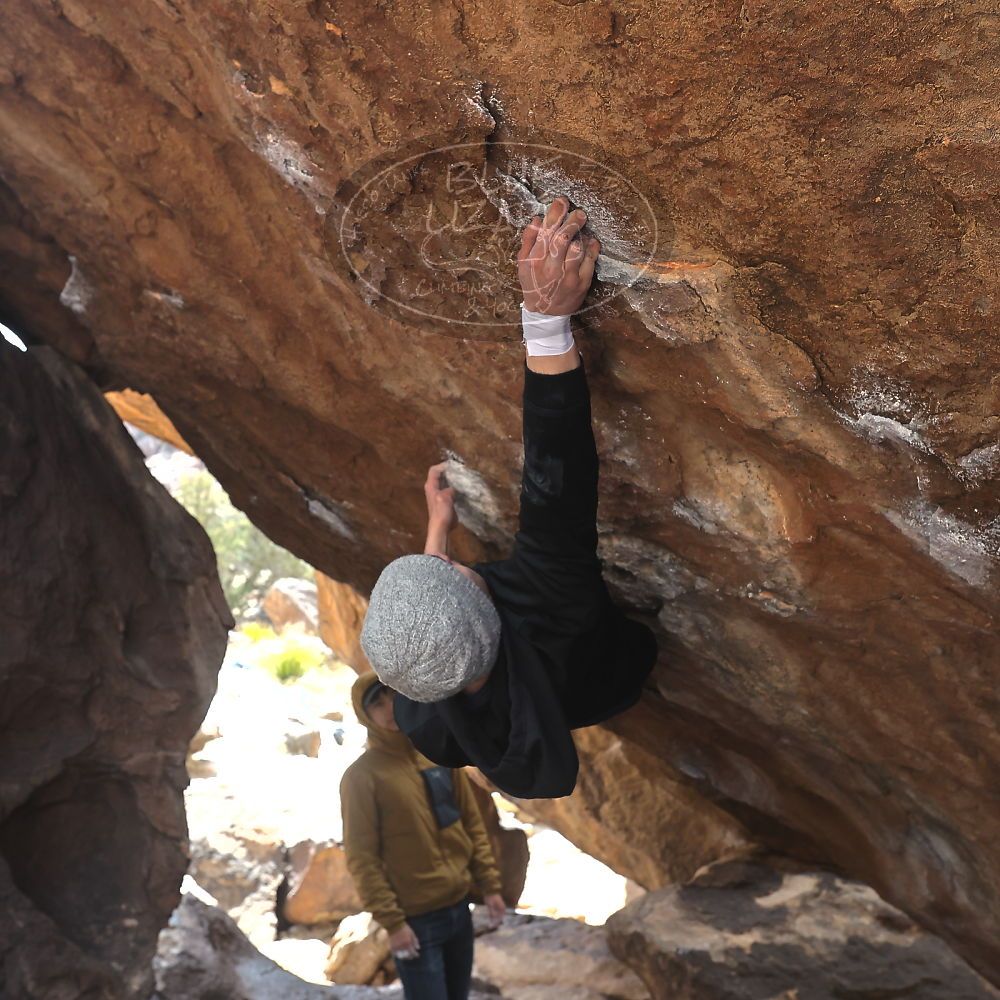 Filename: SRM_20230222_1315410.jpg
Aperture: f/5.6
Shutter Speed: 1/500
Body: Canon EOS R6
Lens: Canon EF 16-35mm f/2.8 L