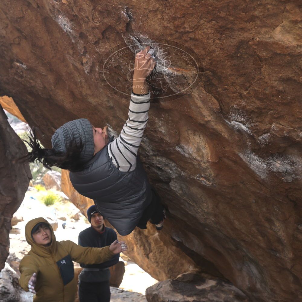 

Filename: SRM_20230222_1321072.jpg
Aperture: f/5.6
Shutter Speed: 1/500
Body: Canon EOS R6
Lens: Canon EF 16-35mm f/2.8 L