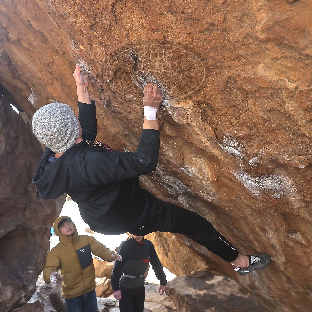 Filename: SRM_20230222_1321550.jpg
Aperture: f/5.6
Shutter Speed: 1/500
Body: Canon EOS R6
Lens: Canon EF 16-35mm f/2.8 L