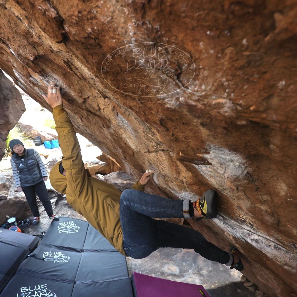 

Filename: SRM_20230222_1326340.jpg
Aperture: f/5.6
Shutter Speed: 1/400
Body: Canon EOS R6
Lens: Canon EF 16-35mm f/2.8 L