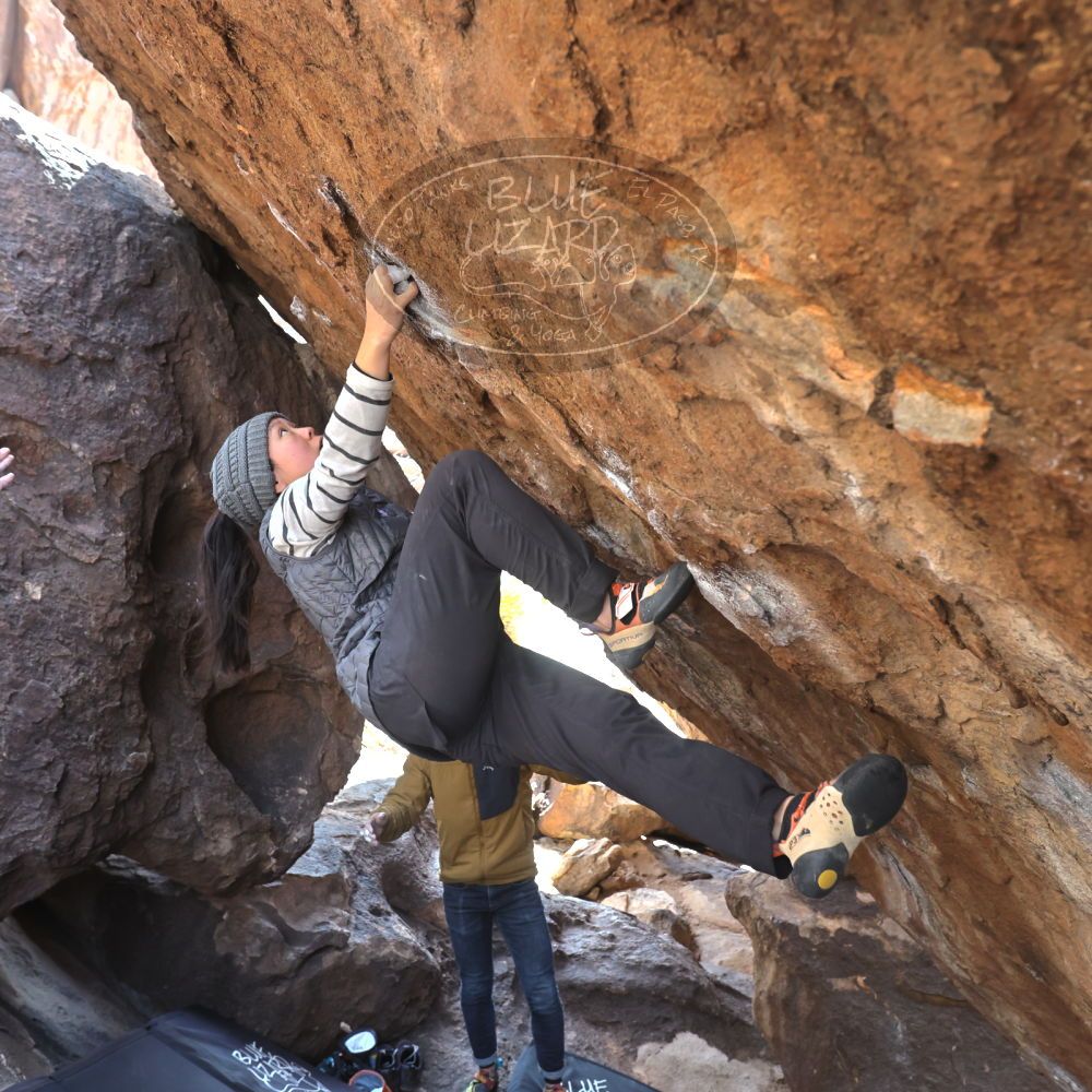 

Filename: SRM_20230222_1328340.jpg
Aperture: f/5.6
Shutter Speed: 1/320
Body: Canon EOS R6
Lens: Canon EF 16-35mm f/2.8 L