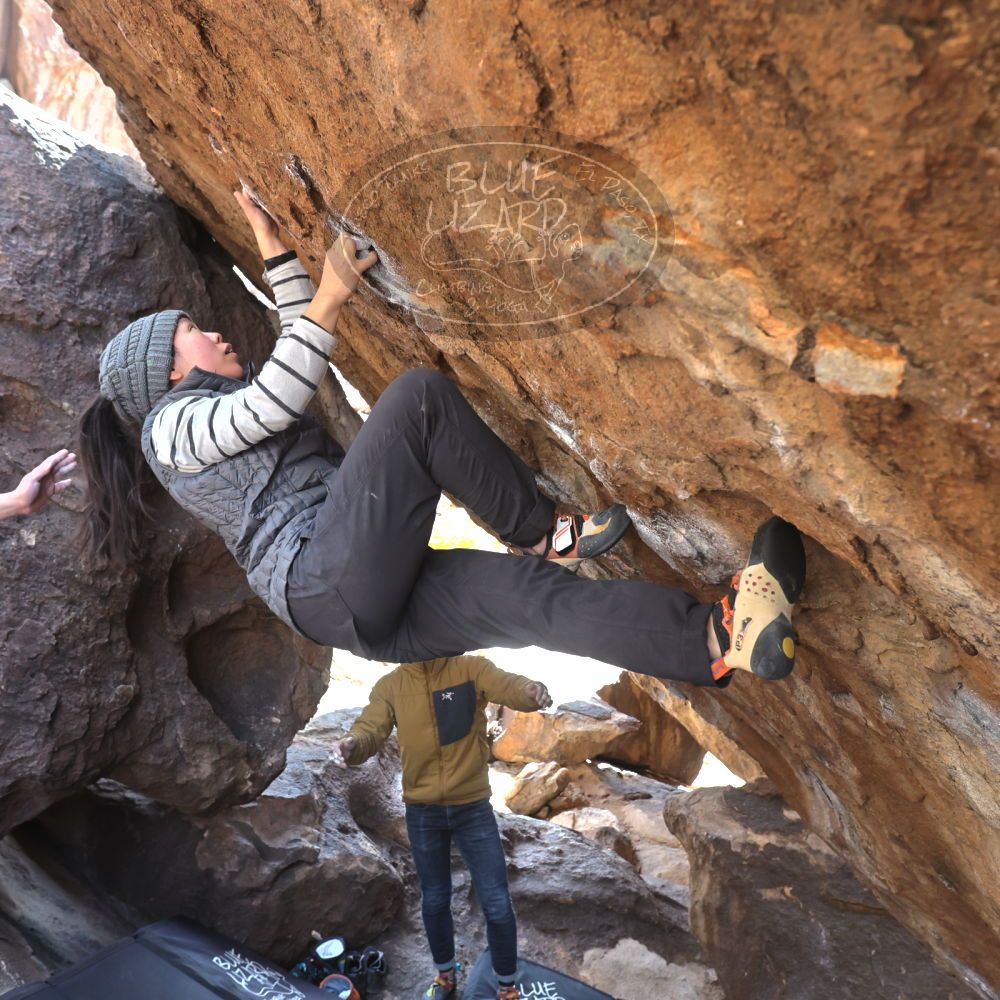 Filename: SRM_20230222_1328350.jpg
Aperture: f/5.6
Shutter Speed: 1/320
Body: Canon EOS R6
Lens: Canon EF 16-35mm f/2.8 L