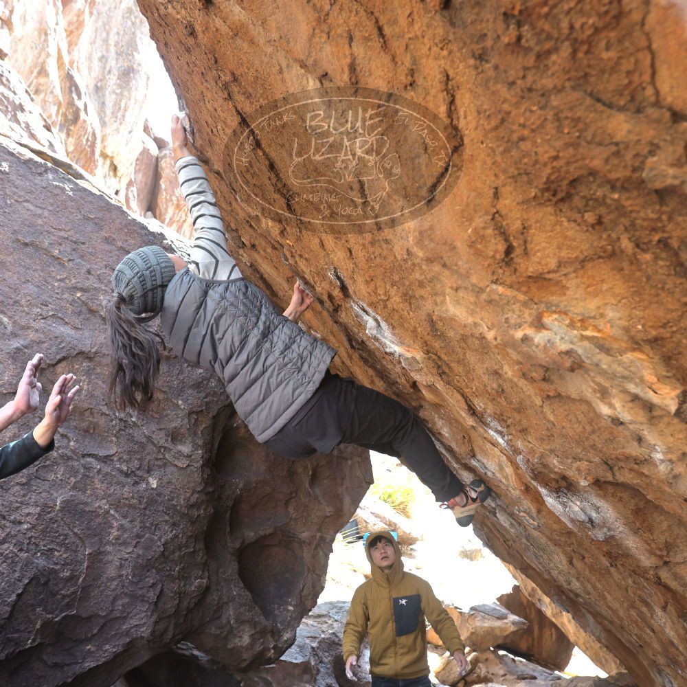 

Filename: SRM_20230222_1328440.jpg
Aperture: f/5.6
Shutter Speed: 1/320
Body: Canon EOS R6
Lens: Canon EF 16-35mm f/2.8 L