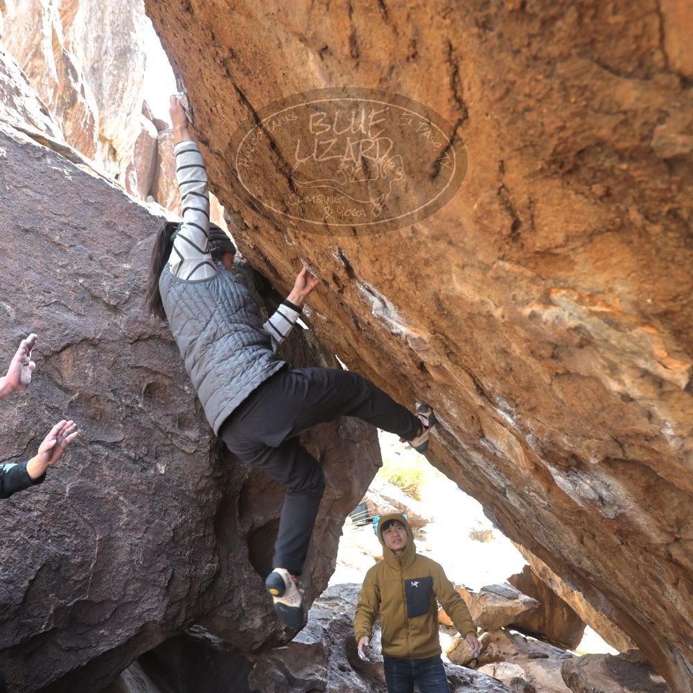 Filename: SRM_20230222_1328452.jpg
Aperture: f/5.6
Shutter Speed: 1/320
Body: Canon EOS R6
Lens: Canon EF 16-35mm f/2.8 L