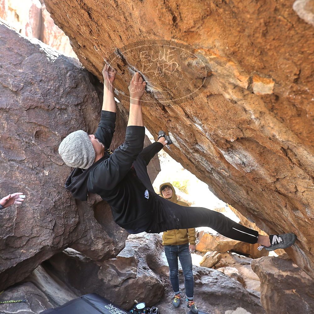 

Filename: SRM_20230222_1329240.jpg
Aperture: f/5.6
Shutter Speed: 1/320
Body: Canon EOS R6
Lens: Canon EF 16-35mm f/2.8 L