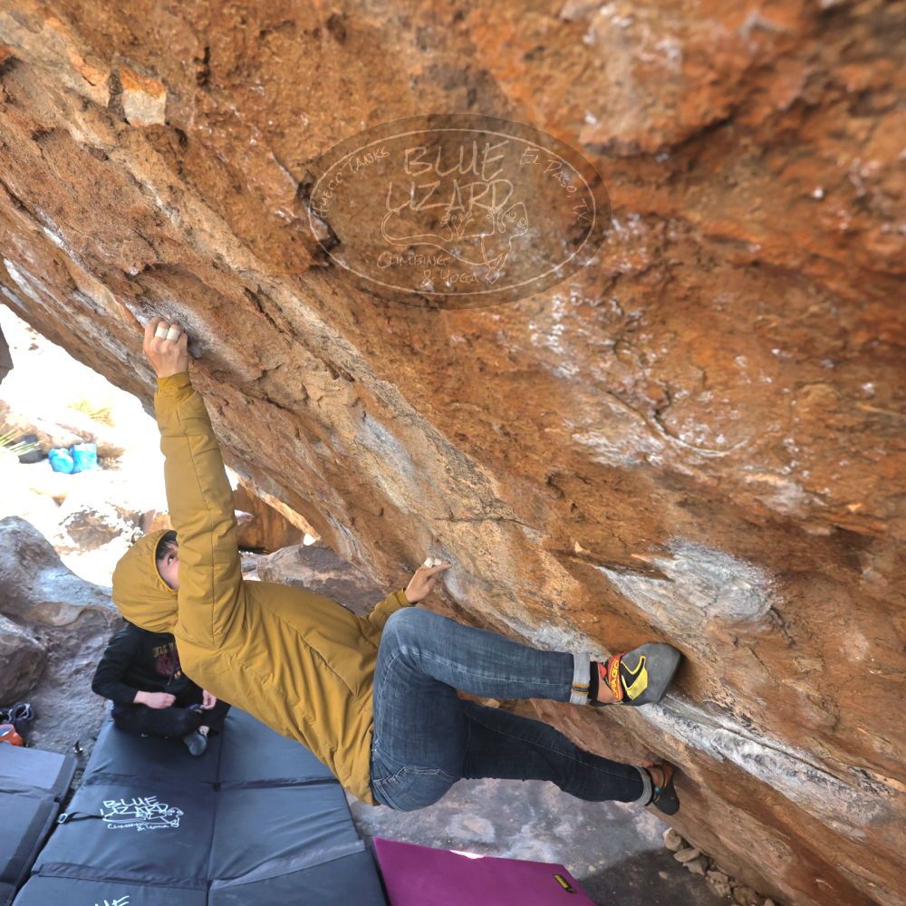 Filename: SRM_20230222_1332190.jpg
Aperture: f/5.6
Shutter Speed: 1/320
Body: Canon EOS R6
Lens: Canon EF 16-35mm f/2.8 L