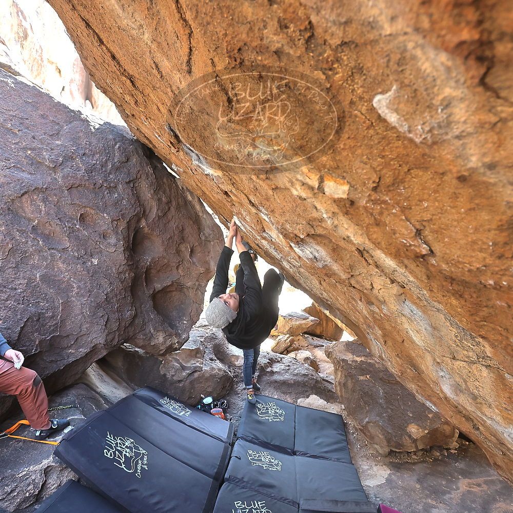 

Filename: SRM_20230222_1337400.jpg
Aperture: f/5.6
Shutter Speed: 1/320
Body: Canon EOS R6
Lens: Canon EF 16-35mm f/2.8 L