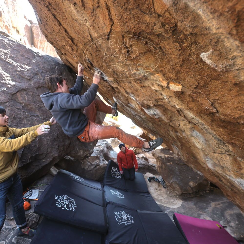 

Filename: SRM_20230222_1415090.jpg
Aperture: f/5.6
Shutter Speed: 1/320
Body: Canon EOS R6
Lens: Canon EF 16-35mm f/2.8 L