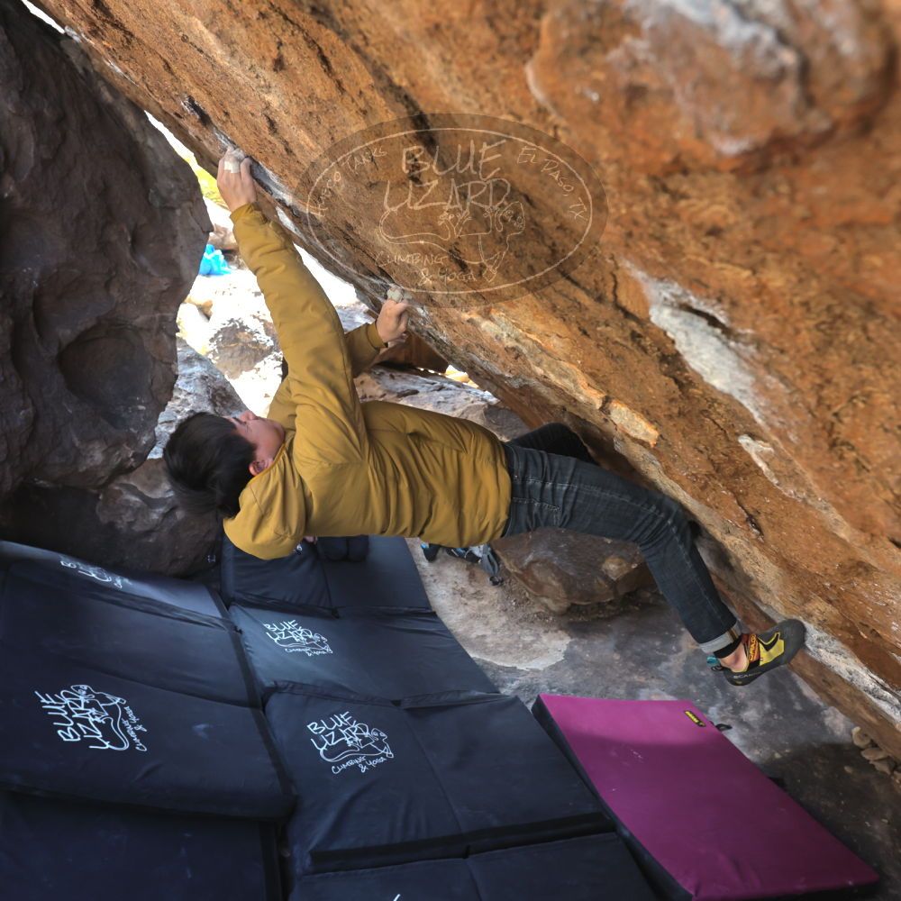 

Filename: SRM_20230222_1417470.jpg
Aperture: f/5.6
Shutter Speed: 1/320
Body: Canon EOS R6
Lens: Canon EF 16-35mm f/2.8 L