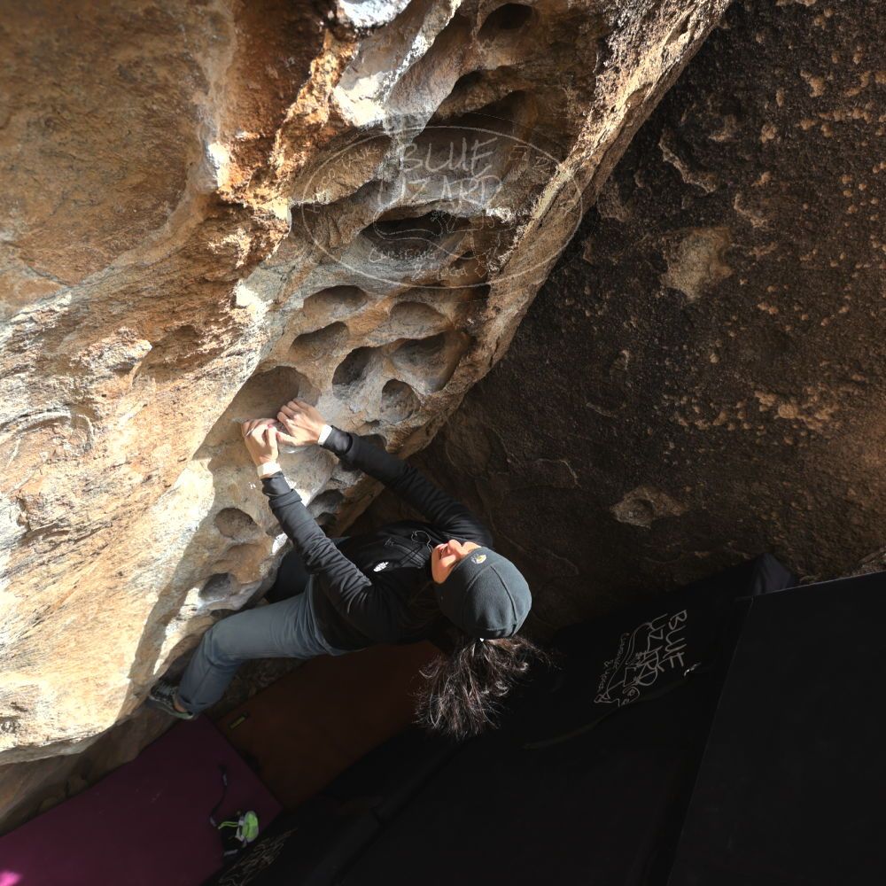 

Filename: SRM_20230222_1452580.jpg
Aperture: f/5.6
Shutter Speed: 1/320
Body: Canon EOS R6
Lens: Canon EF 16-35mm f/2.8 L