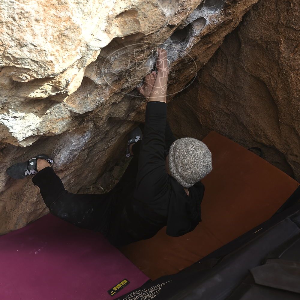 Filename: SRM_20230222_1456080.jpg
Aperture: f/5.6
Shutter Speed: 1/320
Body: Canon EOS R6
Lens: Canon EF 16-35mm f/2.8 L