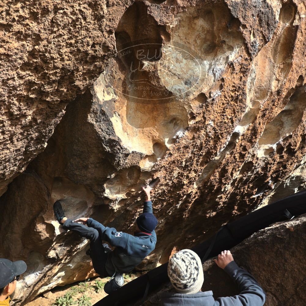 Filename: SRM_20230222_1500190.jpg
Aperture: f/5.6
Shutter Speed: 1/320
Body: Canon EOS R6
Lens: Canon EF 16-35mm f/2.8 L