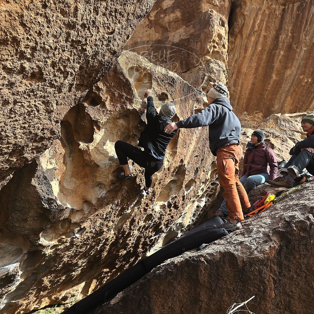 Filename: SRM_20230222_1508150.jpg
Aperture: f/5.6
Shutter Speed: 1/500
Body: Canon EOS R6
Lens: Canon EF 16-35mm f/2.8 L