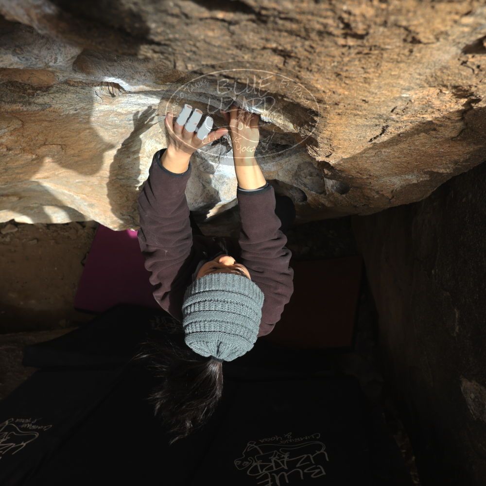 

Filename: SRM_20230222_1510540.jpg
Aperture: f/5.6
Shutter Speed: 1/500
Body: Canon EOS R6
Lens: Canon EF 16-35mm f/2.8 L