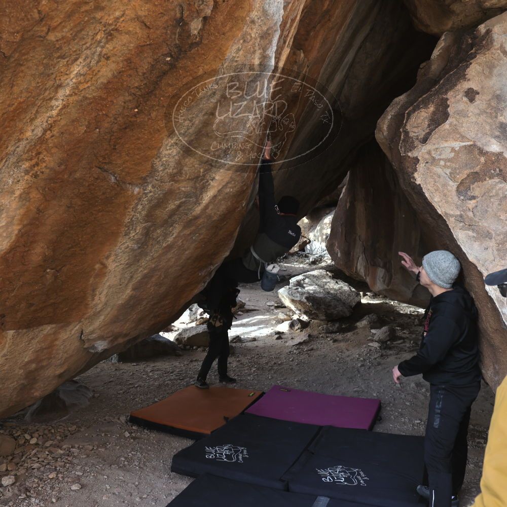 

Filename: SRM_20230222_1539280.jpg
Aperture: f/5.6
Shutter Speed: 1/400
Body: Canon EOS R6
Lens: Canon EF 16-35mm f/2.8 L