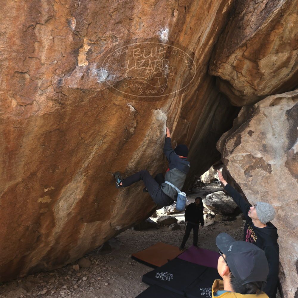 

Filename: SRM_20230222_1539530.jpg
Aperture: f/5.6
Shutter Speed: 1/400
Body: Canon EOS R6
Lens: Canon EF 16-35mm f/2.8 L