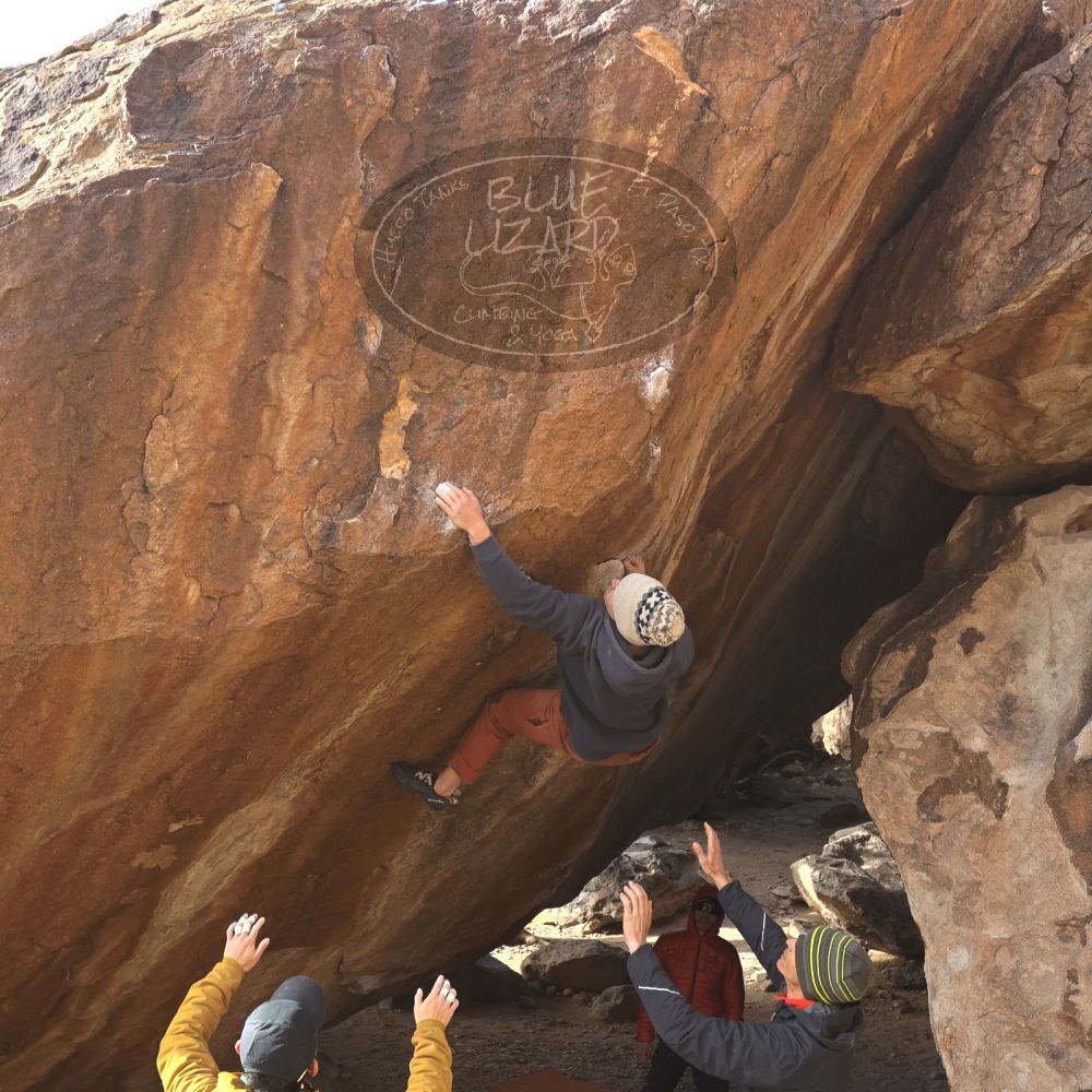 

Filename: SRM_20230222_1547230.jpg
Aperture: f/5.6
Shutter Speed: 1/400
Body: Canon EOS R6
Lens: Canon EF 16-35mm f/2.8 L