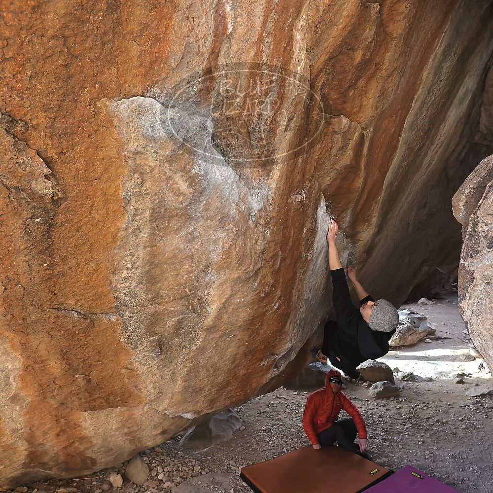 Filename: SRM_20230222_1548100.jpg
Aperture: f/5.6
Shutter Speed: 1/400
Body: Canon EOS R6
Lens: Canon EF 16-35mm f/2.8 L