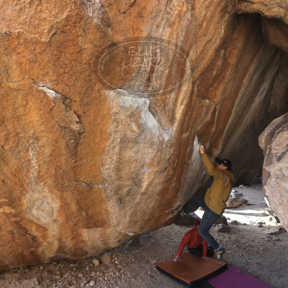 Filename: SRM_20230222_1549580.jpg
Aperture: f/5.6
Shutter Speed: 1/400
Body: Canon EOS R6
Lens: Canon EF 16-35mm f/2.8 L