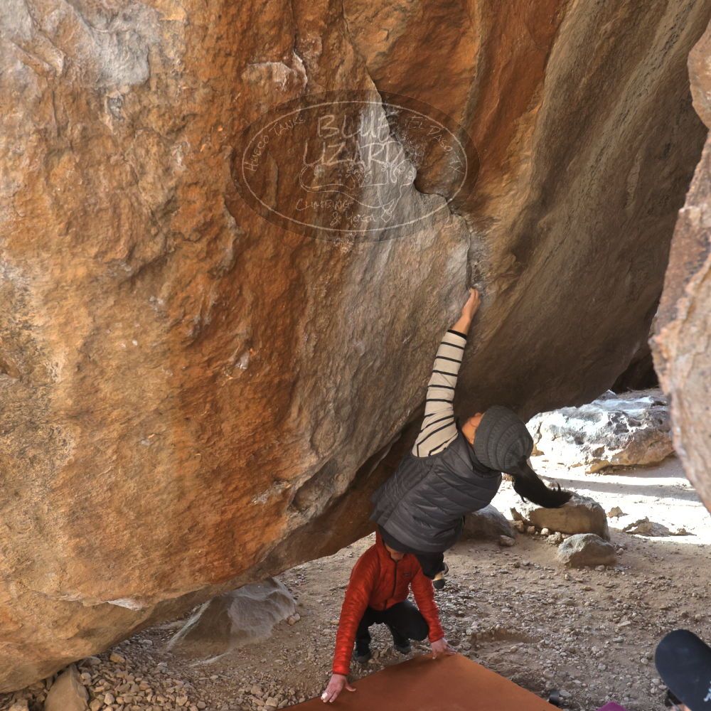 

Filename: SRM_20230222_1600520.jpg
Aperture: f/5.6
Shutter Speed: 1/640
Body: Canon EOS R6
Lens: Canon EF 16-35mm f/2.8 L