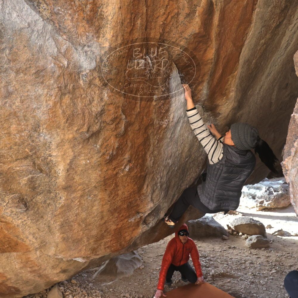 Filename: SRM_20230222_1601000.jpg
Aperture: f/5.6
Shutter Speed: 1/640
Body: Canon EOS R6
Lens: Canon EF 16-35mm f/2.8 L