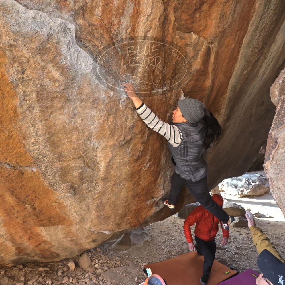 

Filename: SRM_20230222_1601100.jpg
Aperture: f/5.6
Shutter Speed: 1/640
Body: Canon EOS R6
Lens: Canon EF 16-35mm f/2.8 L