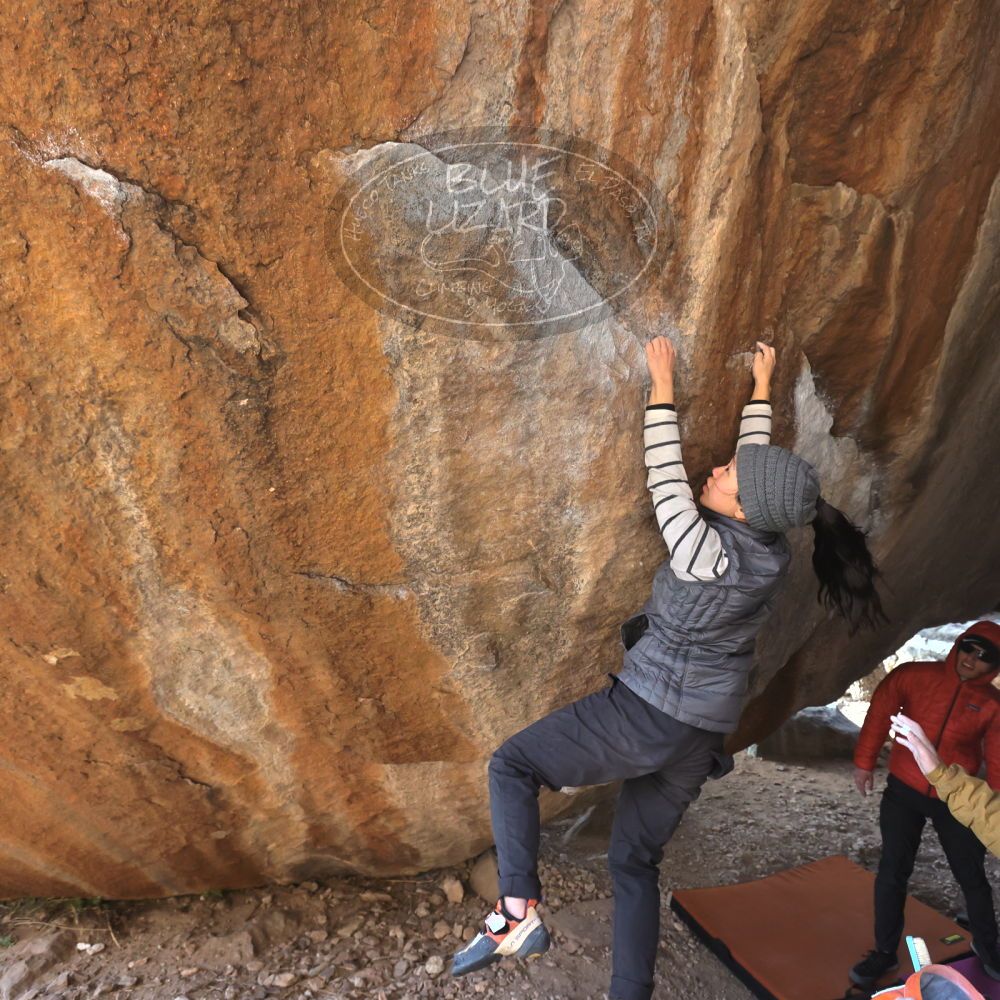 

Filename: SRM_20230222_1601240.jpg
Aperture: f/5.6
Shutter Speed: 1/640
Body: Canon EOS R6
Lens: Canon EF 16-35mm f/2.8 L