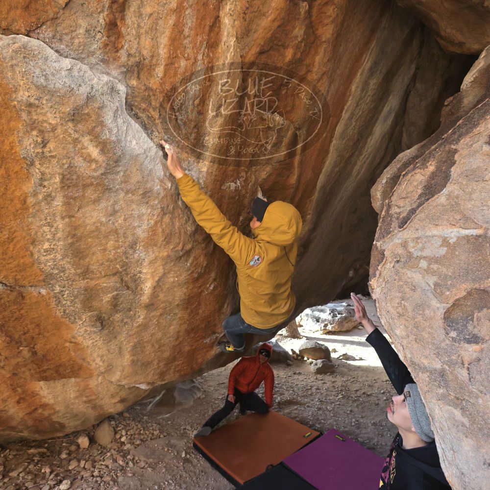 

Filename: SRM_20230222_1605050.jpg
Aperture: f/5.6
Shutter Speed: 1/800
Body: Canon EOS R6
Lens: Canon EF 16-35mm f/2.8 L