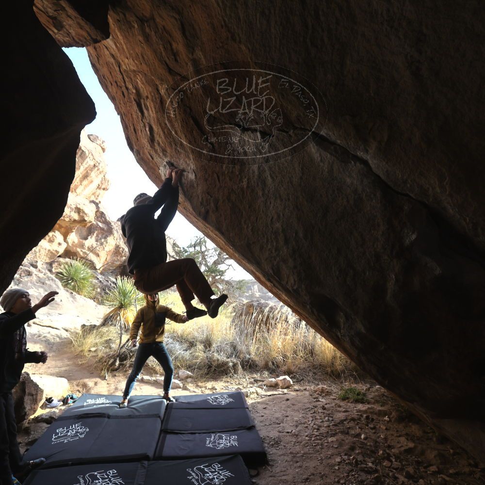 

Filename: SRM_20230222_1608381.jpg
Aperture: f/5.6
Shutter Speed: 1/800
Body: Canon EOS R6
Lens: Canon EF 16-35mm f/2.8 L