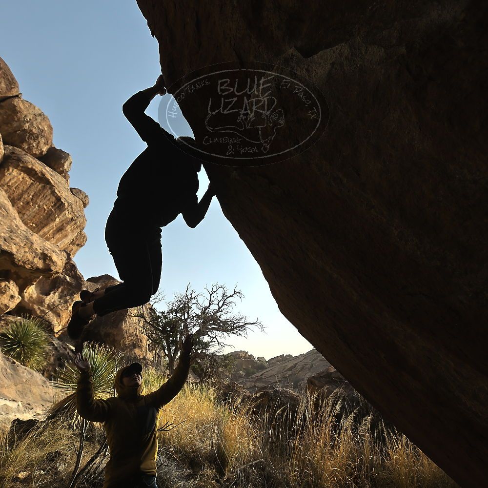 

Filename: SRM_20230222_1610301.jpg
Aperture: f/5.6
Shutter Speed: 1/800
Body: Canon EOS R6
Lens: Canon EF 16-35mm f/2.8 L