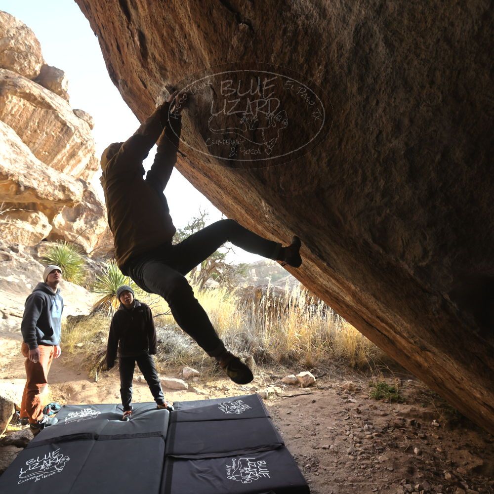 Filename: SRM_20230222_1614310.jpg
Aperture: f/5.6
Shutter Speed: 1/800
Body: Canon EOS R6
Lens: Canon EF 16-35mm f/2.8 L