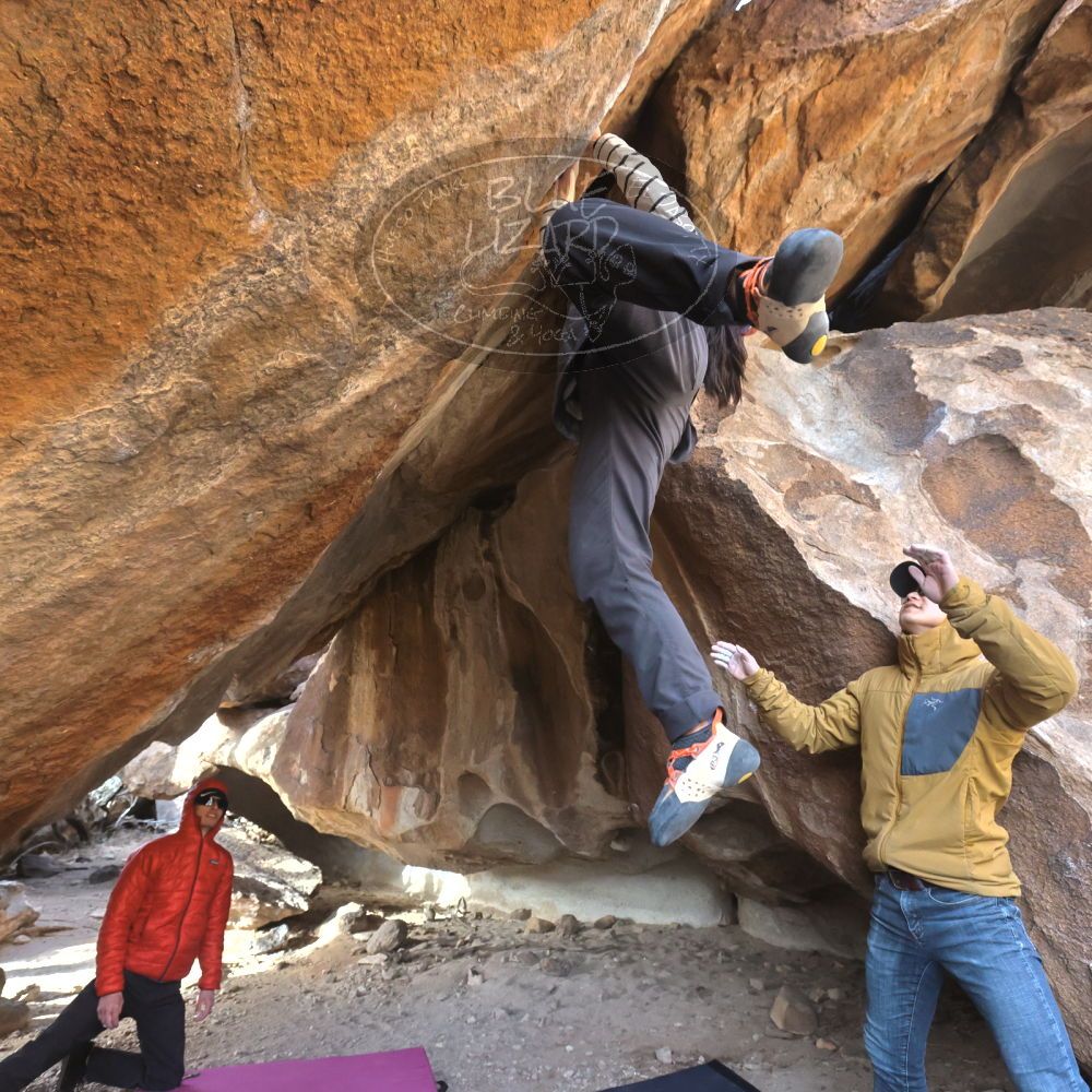 Filename: SRM_20230222_1616050.jpg
Aperture: f/5.6
Shutter Speed: 1/800
Body: Canon EOS R6
Lens: Canon EF 16-35mm f/2.8 L