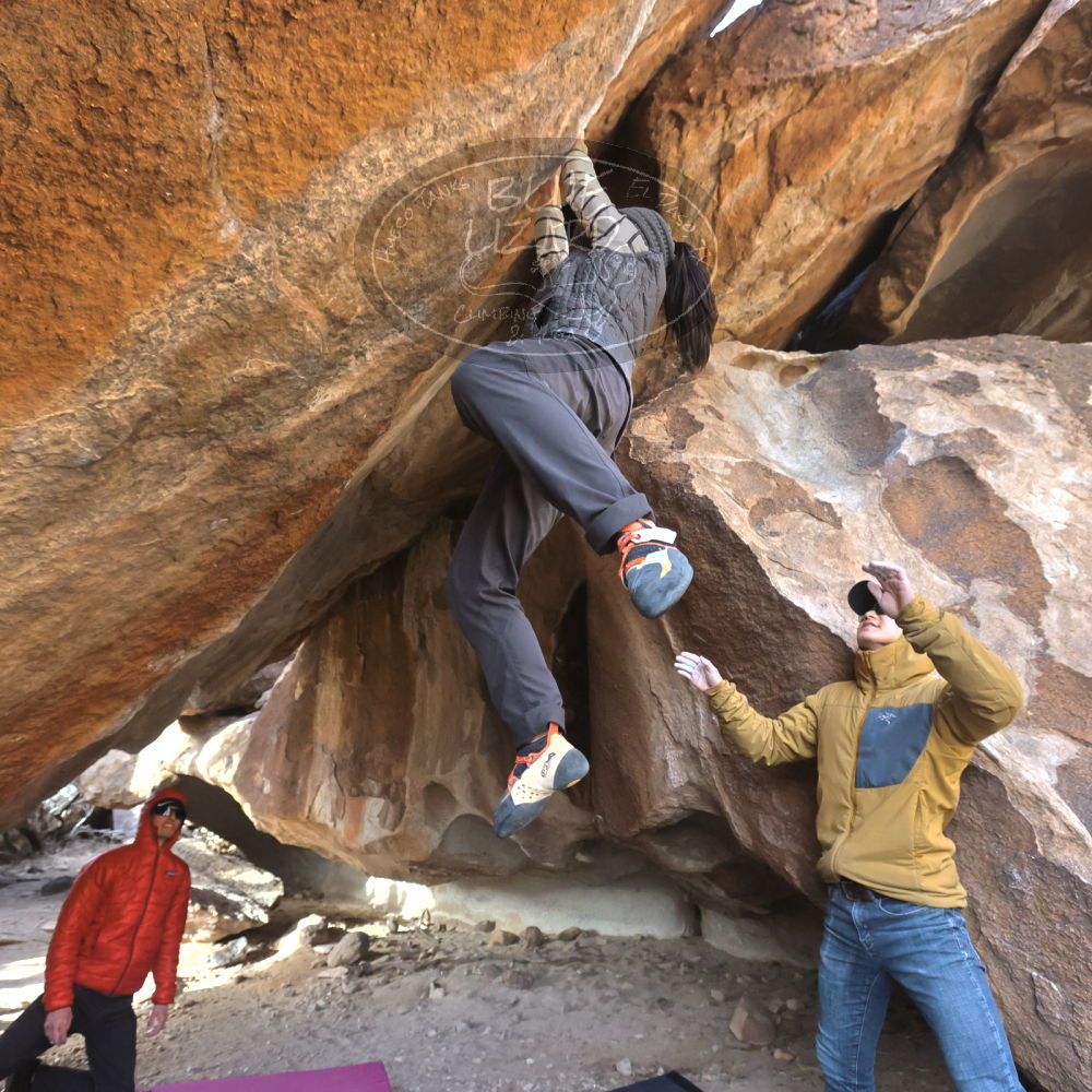 

Filename: SRM_20230222_1616060.jpg
Aperture: f/5.6
Shutter Speed: 1/800
Body: Canon EOS R6
Lens: Canon EF 16-35mm f/2.8 L