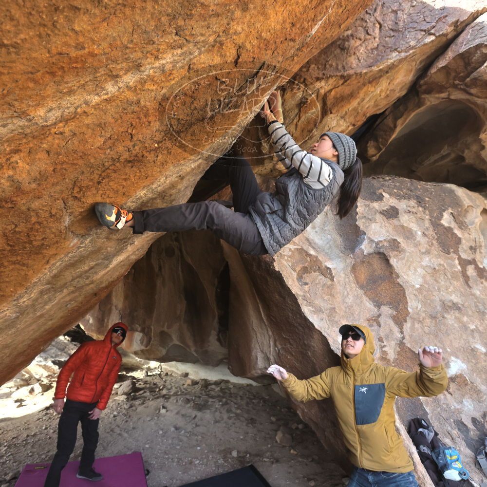 Filename: SRM_20230222_1616130.jpg
Aperture: f/5.6
Shutter Speed: 1/800
Body: Canon EOS R6
Lens: Canon EF 16-35mm f/2.8 L