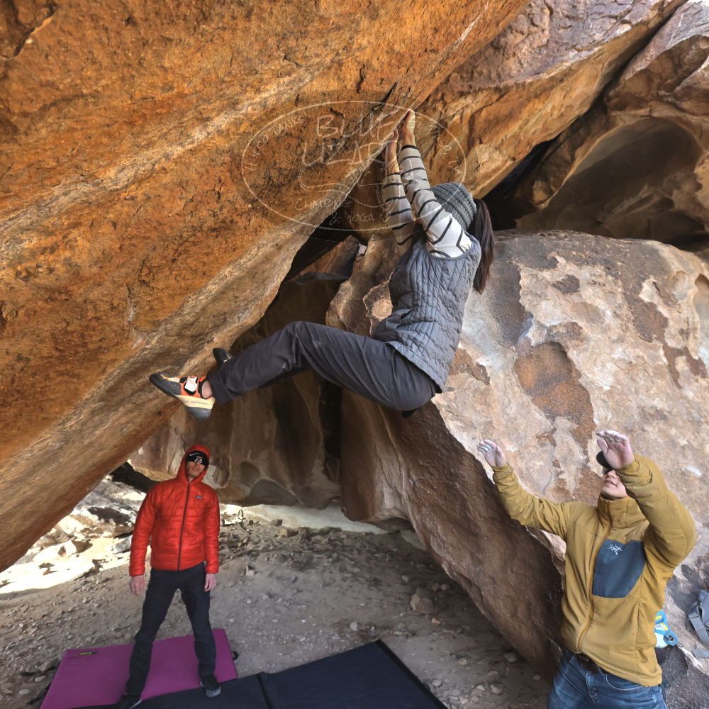 Filename: SRM_20230222_1616270.jpg
Aperture: f/5.6
Shutter Speed: 1/800
Body: Canon EOS R6
Lens: Canon EF 16-35mm f/2.8 L