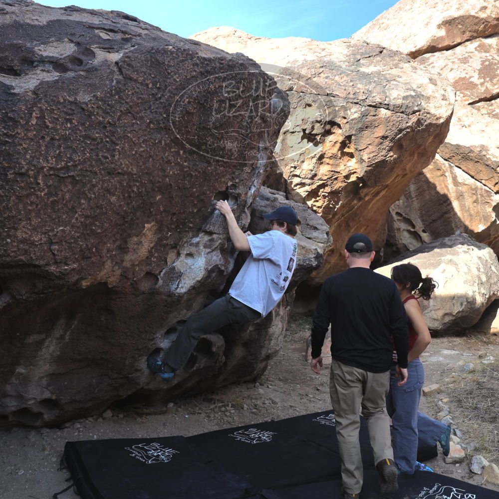 

Filename: SRM_20230224_0915100.jpg
Aperture: f/8.0
Shutter Speed: 1/320
Body: Canon EOS R6
Lens: Canon EF 16-35mm f/2.8 L