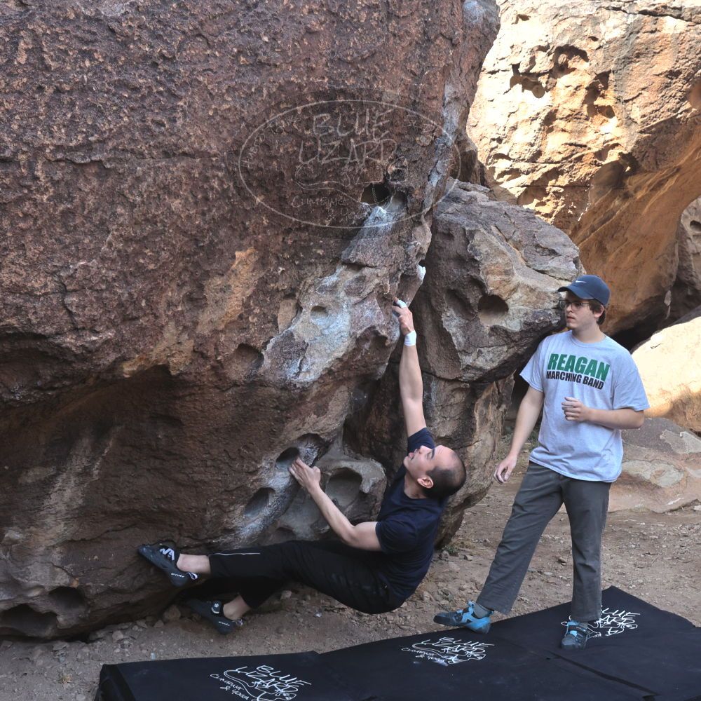 

Filename: SRM_20230224_0918130.jpg
Aperture: f/8.0
Shutter Speed: 1/320
Body: Canon EOS R6
Lens: Canon EF 16-35mm f/2.8 L