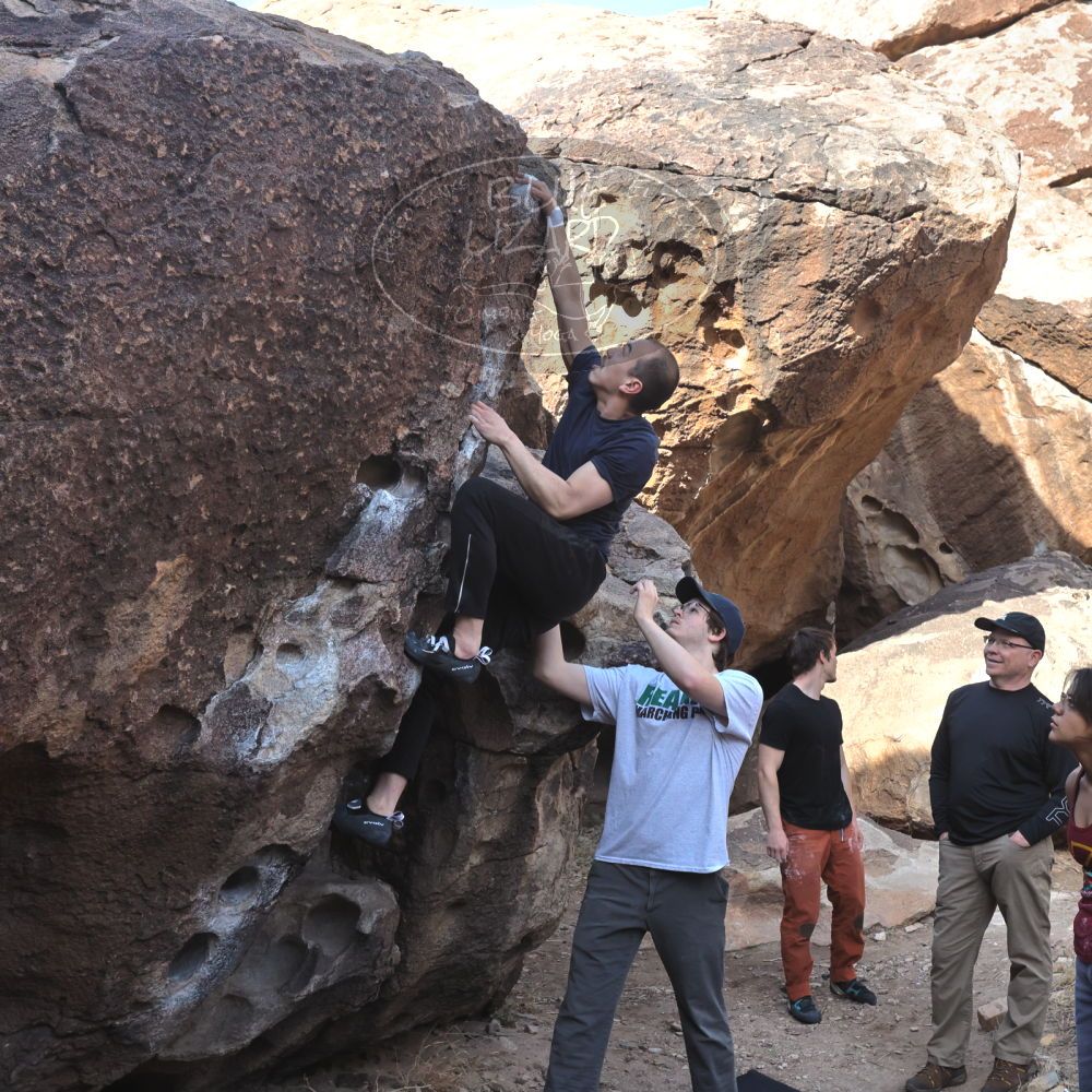 

Filename: SRM_20230224_0918450.jpg
Aperture: f/8.0
Shutter Speed: 1/320
Body: Canon EOS R6
Lens: Canon EF 16-35mm f/2.8 L