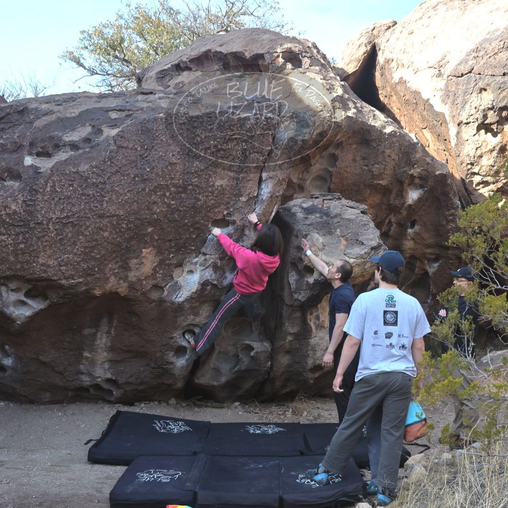 

Filename: SRM_20230224_0920100.jpg
Aperture: f/8.0
Shutter Speed: 1/320
Body: Canon EOS R6
Lens: Canon EF 16-35mm f/2.8 L