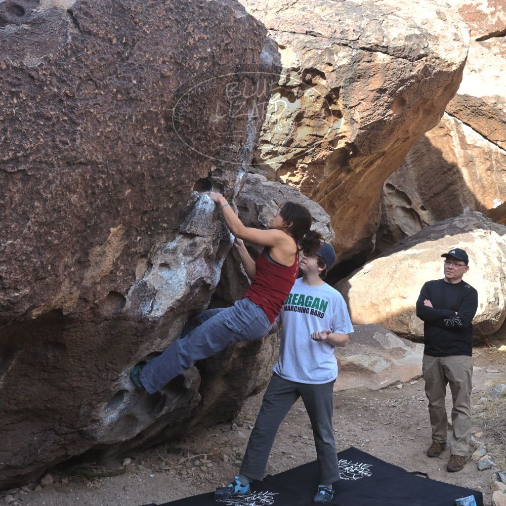 

Filename: SRM_20230224_0920290.jpg
Aperture: f/8.0
Shutter Speed: 1/320
Body: Canon EOS R6
Lens: Canon EF 16-35mm f/2.8 L